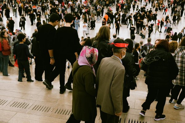 Quel revêtement choisir pour une allée carrossable : astuces et conseils