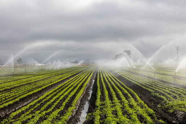 Quels sont les avantages des systèmes d'irrigation goutte à goutte pour l'agriculture?